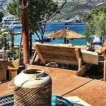 Blue Water * Zrnovo